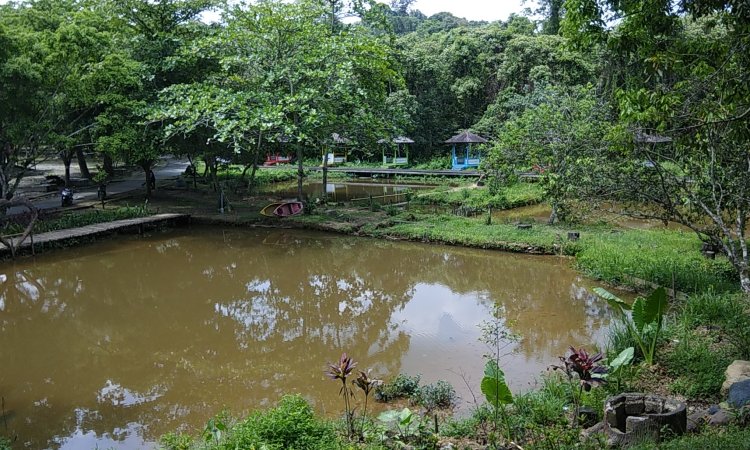 Kebun raya unmul, sumber celebes.co